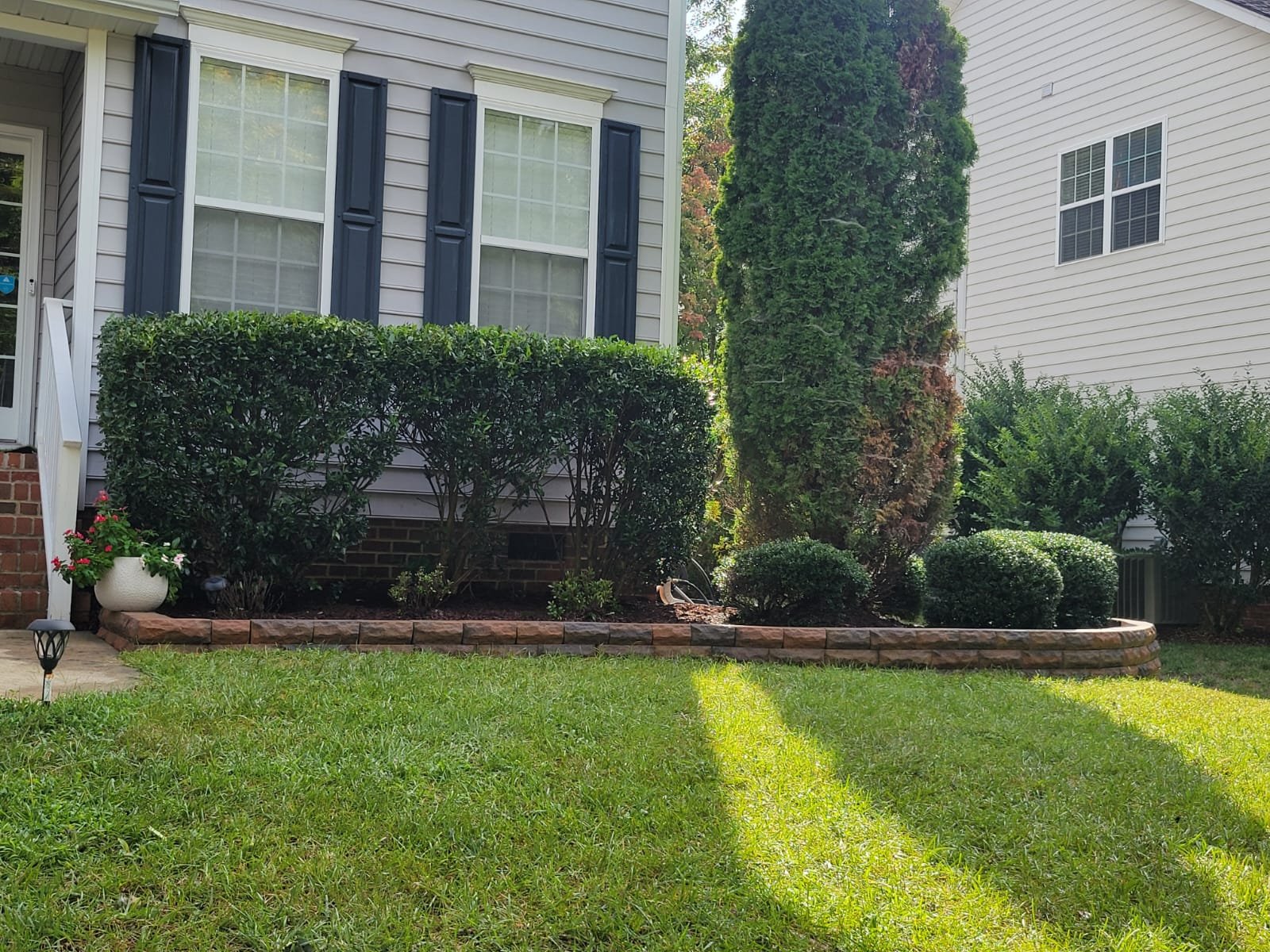 Tree & Shrub Planting