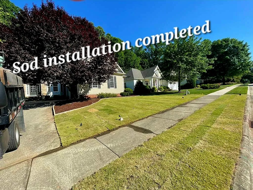 Sod Installation project by Sam General Landscaping
