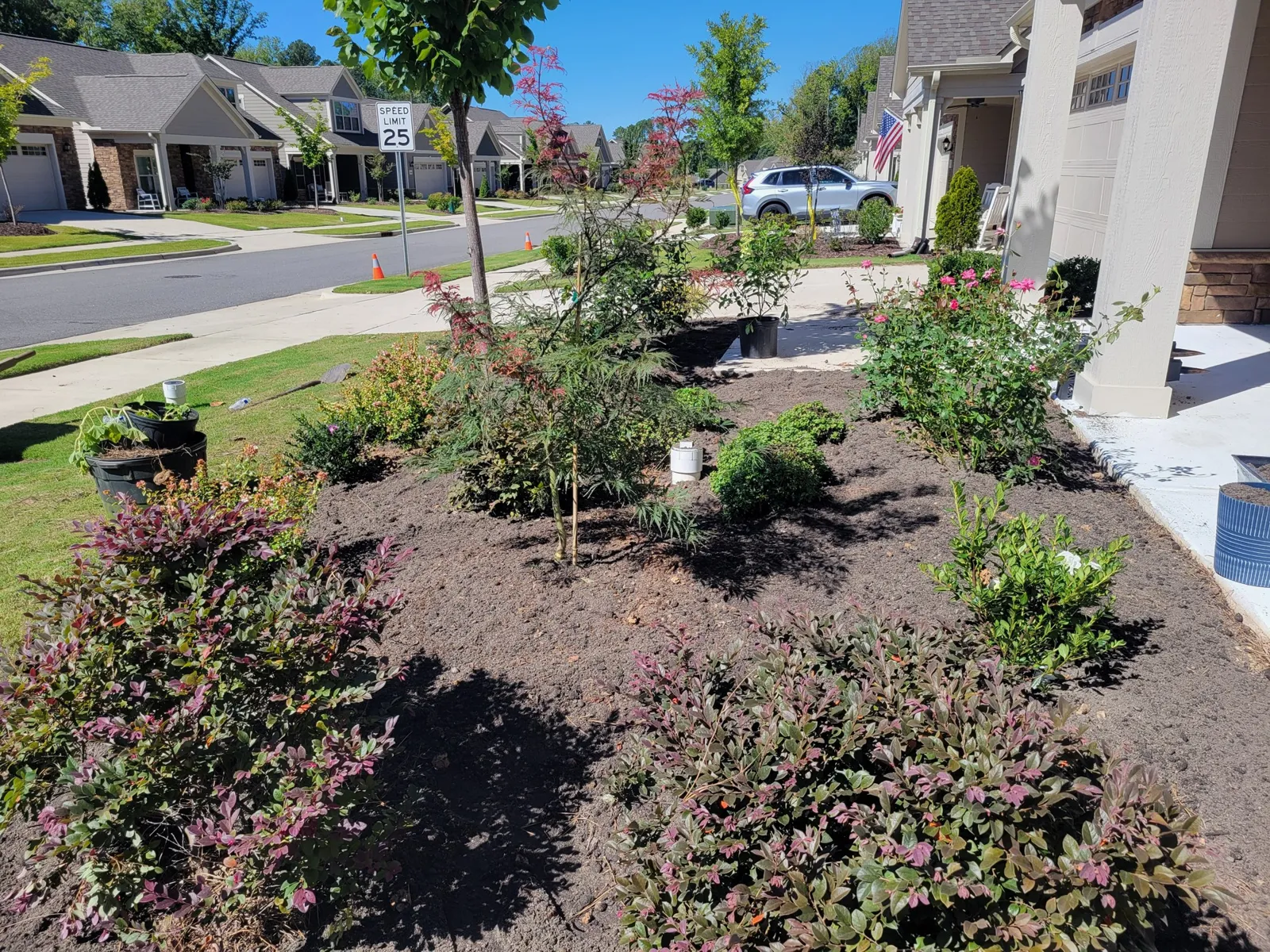 Tree Shrub Planting project by Sam General Landscaping