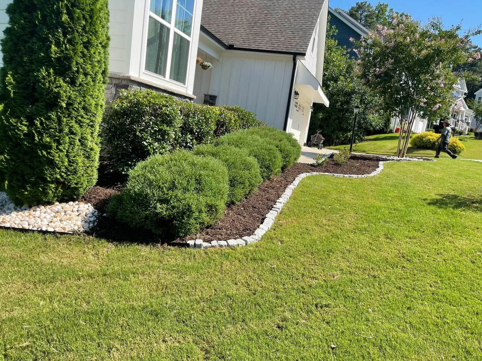 Tree Shrub Planting project by Sam General Landscaping
