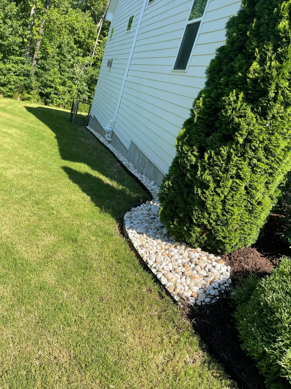Tree Shrub Planting project by Sam General Landscaping