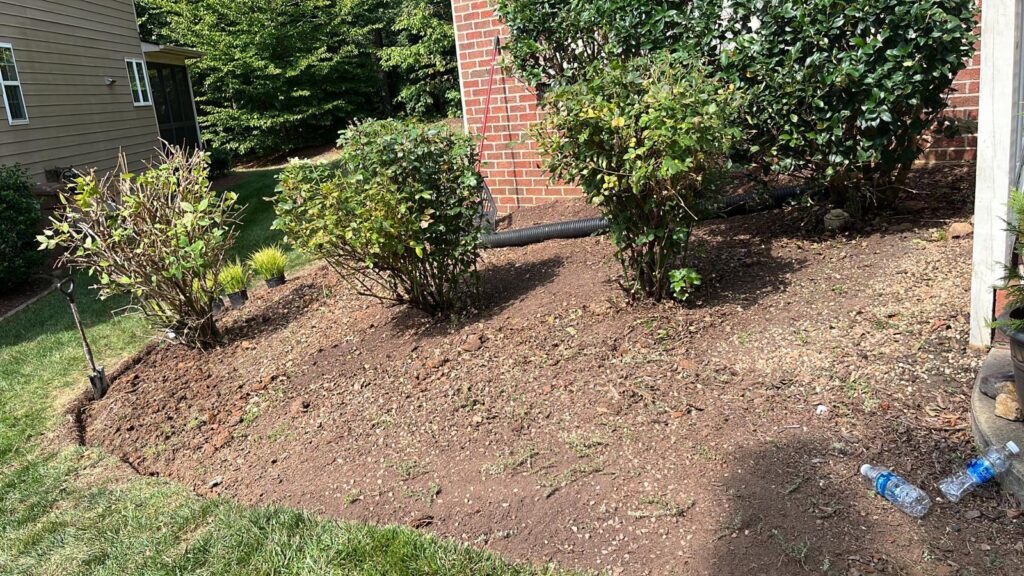 Bush Trimming
