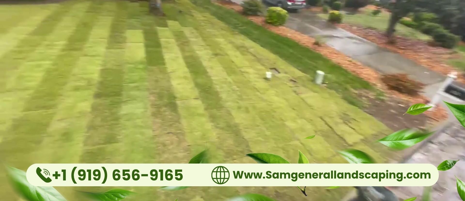 Lawn Maintenance Services in Cary, NC