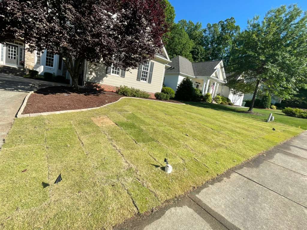 lawn maintenance cary