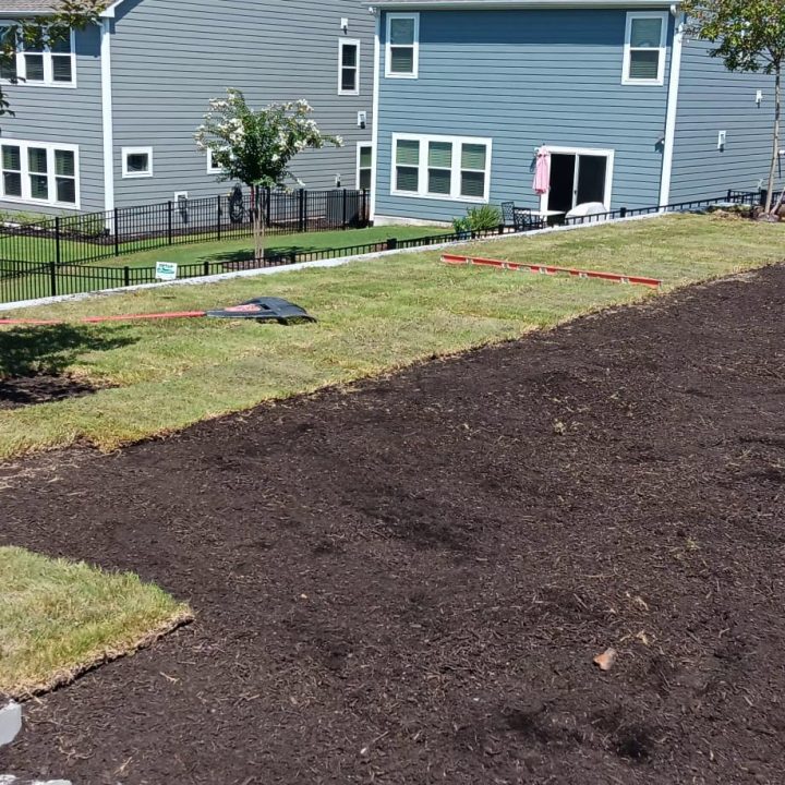 Lawn Maintenance Services in Cary, NC